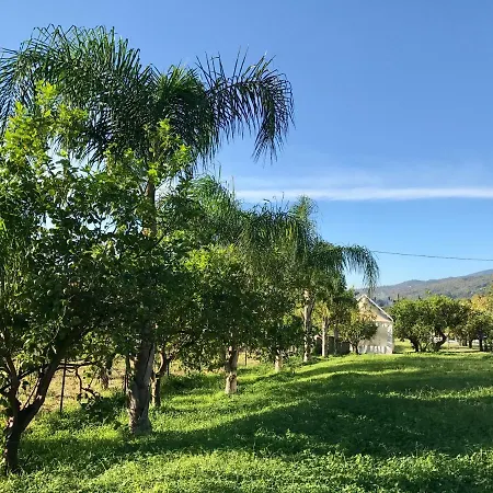 L'agrumeto Oda ve Kahvaltı