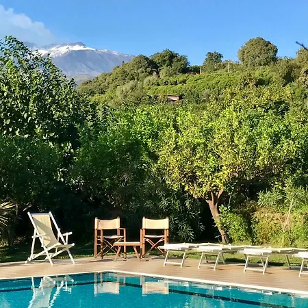 L'agrumeto
